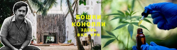 молекула духа Белокуриха