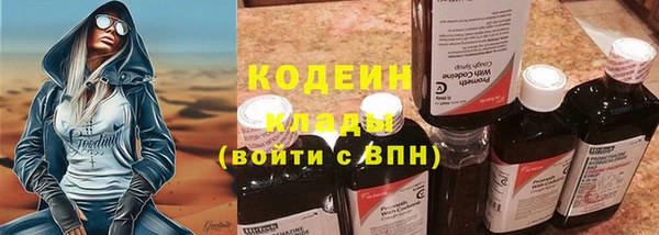 молекула духа Белокуриха