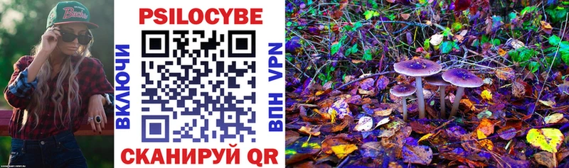 Псилоцибиновые грибы Cubensis цена наркотик Новороссийск